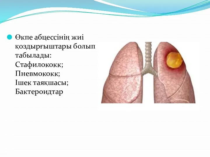 Өкпе абцессінің жиі қоздырғыштары болып табылады: Стафилококк; Пневмококк; Ішек таяқшасы; Бактероидтар