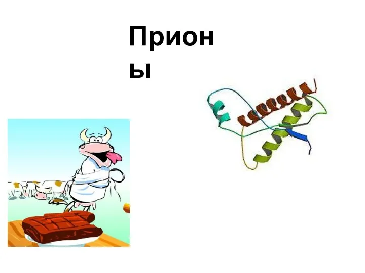 Прионы