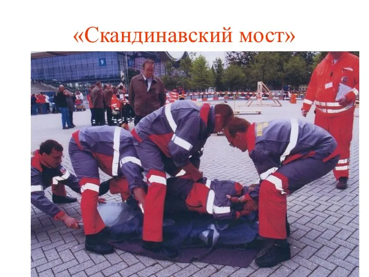 «Скандинавский мост»