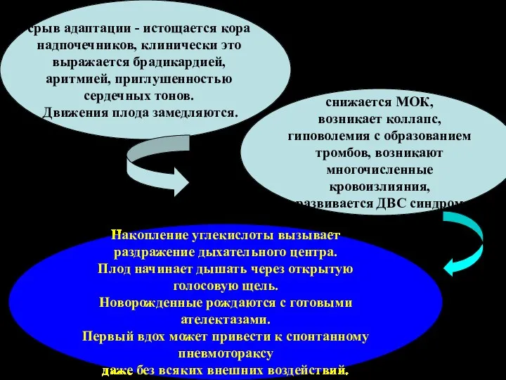 срыв адаптации - истощается кора надпочечников, клинически это выражается брадикардией,