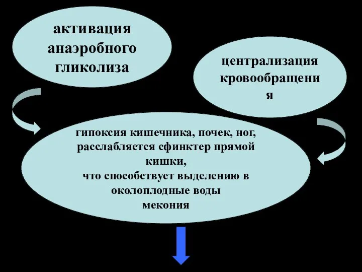 активация анаэробного гликолиза централизация кровообращения гипоксия кишечника, почек, ног, расслабляется