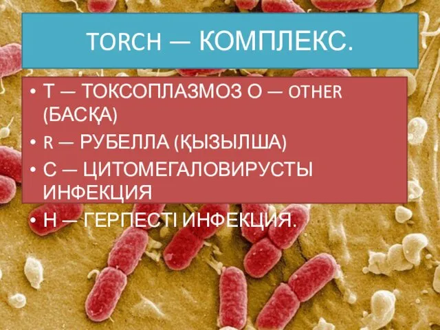 TORCH — КОМПЛЕКС. Т — ТОКСОПЛАЗМОЗ О — OTHER (БАСҚА)