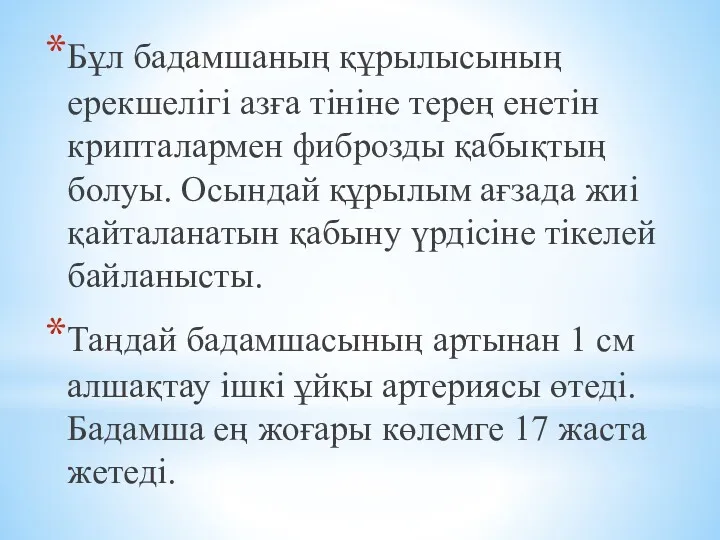 Бұл бадамшаның құрылысының ерекшелігі азға тініне терең енетін крипталармен фиброзды