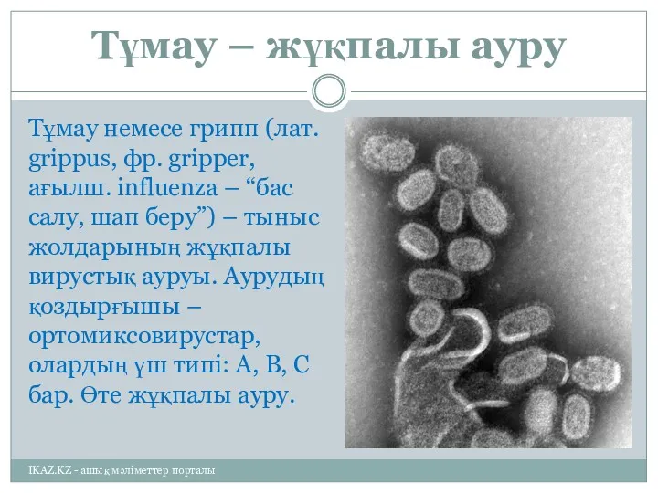 Тұмау – жұқпалы ауру Тұмау немесе грипп (лат. grіppus, фр.