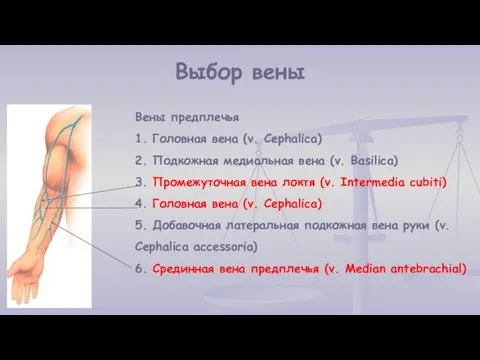 Выбор вены Вены предплечья 1. Головная вена (v. Cephalica) 2. Подкожная медиальная вена