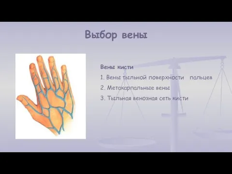 Выбор вены Вены кисти 1. Вены тыльной поверхности пальцев 2. Метакарпальные вены 3.