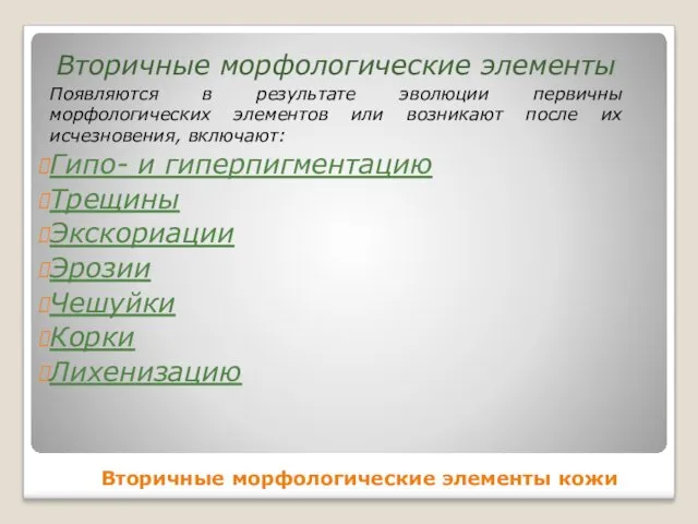 Вторичные морфологические элементы кожи Вторичные морфологические элементы Появляются в результате