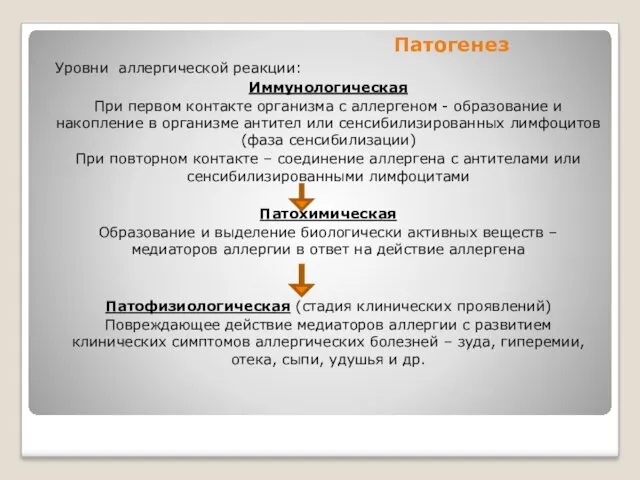 Патогенез Уровни аллергической реакции: Иммунологическая При первом контакте организма с