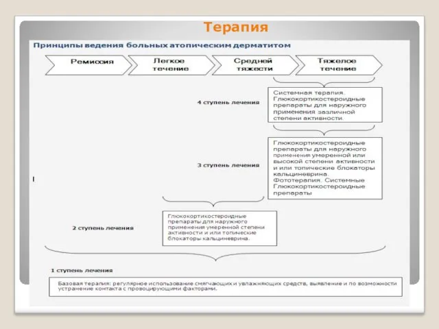 Терапия