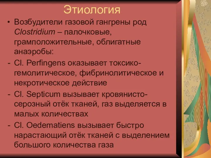 Этиология Возбудители газовой гангрены род Clostridium – палочковые, грамположительные, облигатные