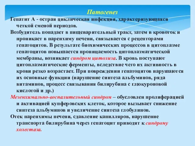 Патогенез Гепатит А - острая циклическая инфекция, характеризующаяся четкой сменой