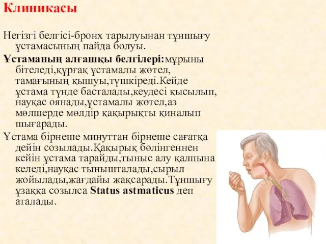 Клиникасы Негізгі белгісі-бронх тарылуынан тұншығу ұстамасының пайда болуы. Ұстаманың алғашқы