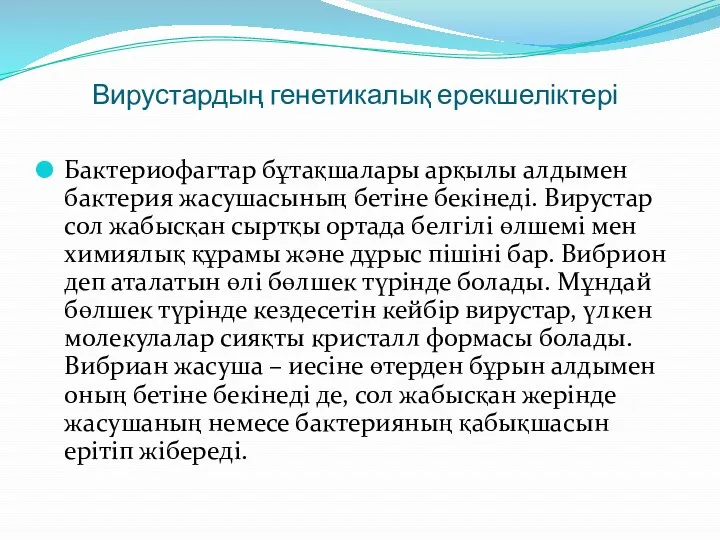 Вирустардың генетикалық ерекшеліктері Бактериофагтар бұтақшалары арқылы алдымен бактерия жасушасының бетіне бекінеді. Вирустар сол