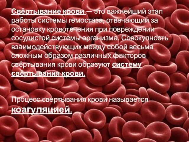Свёртывание крови — это важнейший этап работы системы гемостаза, отвечающий за остановку кровотечения