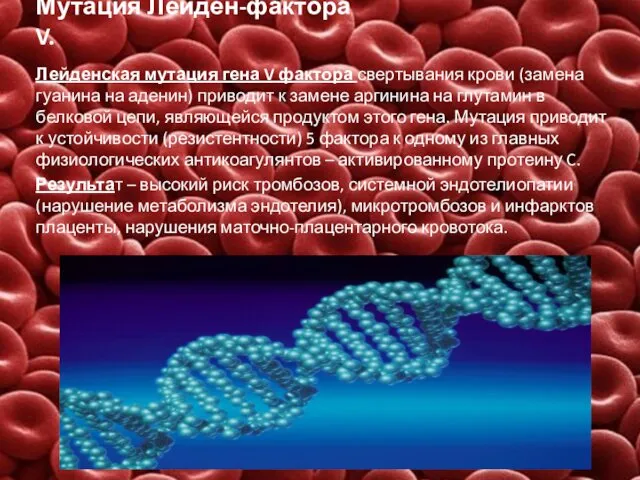 Мутация Лейден-фактора V. Лейденская мутация гена V фактора свертывания крови (замена гуанина на