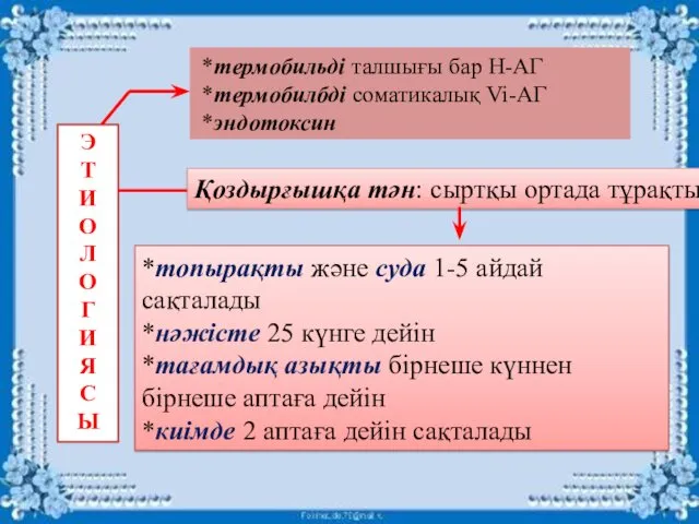 *термобильді талшығы бар Н-АГ *термобилбді соматикалық Vi-АГ *эндотоксин Э Т