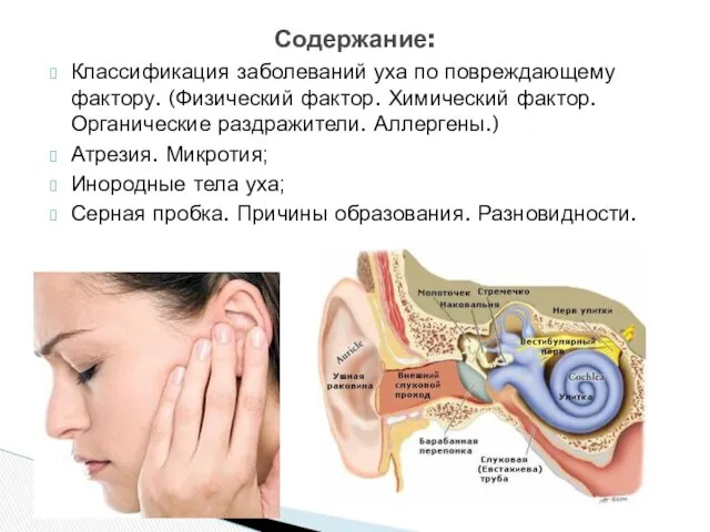 Классификация заболеваний уха по повреждающему фактору. (Физический фактор. Химический фактор.