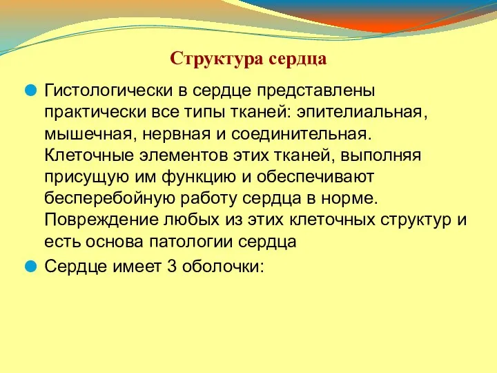 Структура сердца Гистологически в сердце представлены практически все типы тканей: