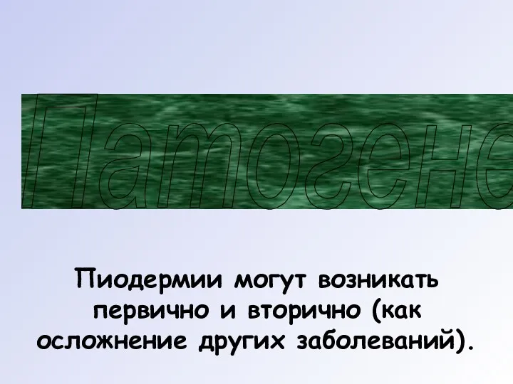 Патогенез Пиодермии могут возникать первично и вторично (как осложнение других заболеваний).