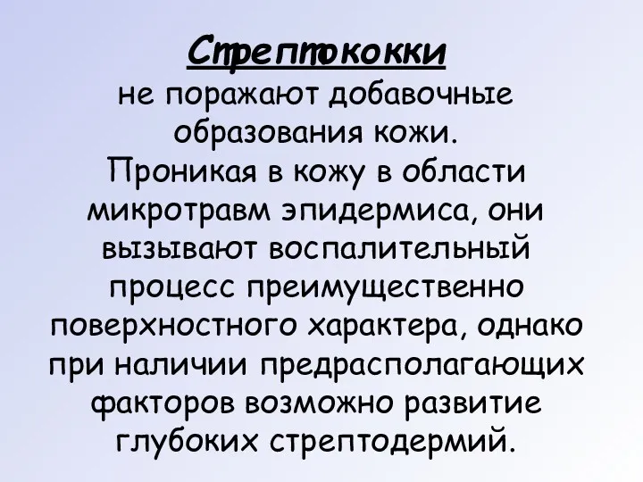 Стрептококки не поражают добавочные образования кожи. Проникая в кожу в