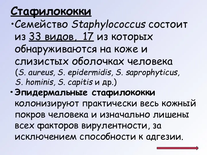 Стафилококки Семейство Staphylococcus состоит из 33 видов, 17 из которых