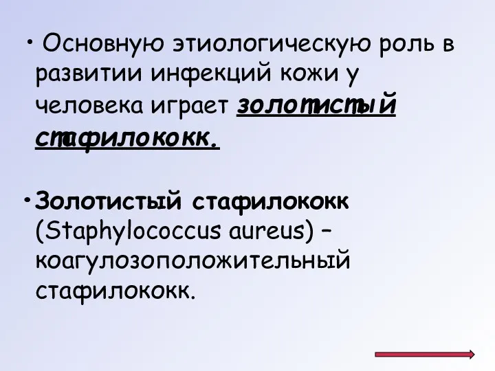 Основную этиологическую роль в развитии инфекций кожи у человека играет