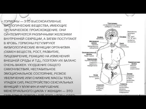 ГОРМОНЫ — ЭТО ВЫСОКОАКТИВНЫЕ БИОЛОГИЧЕСКИЕ ВЕЩЕСТВА, ИМЕЮЩИЕ ОРГАНИЧЕСКОЕ ПРОИСХОЖДЕНИЕ. ОНИ