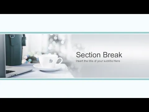 Section Break Insert the title of your subtitle Here
