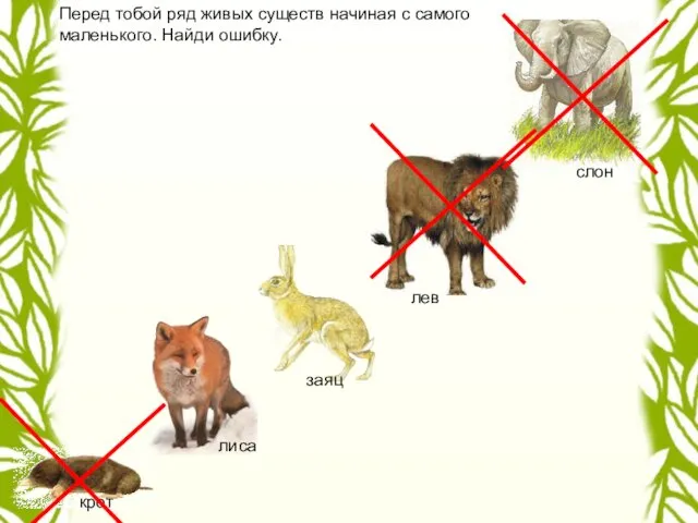 крот лиса заяц лев слон Перед тобой ряд живых существ начиная с самого маленького. Найди ошибку.