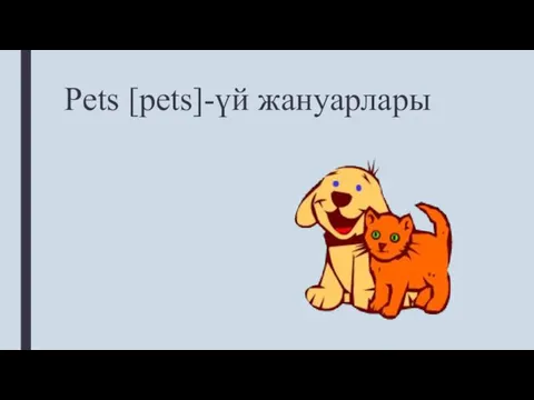 Pets [pets]-үй жануарлары