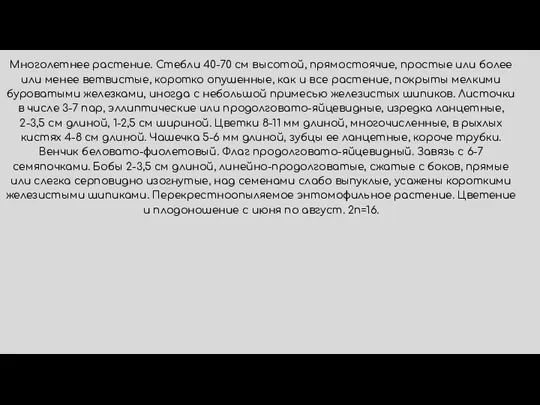 Многолетнее растение. Стебли 40-70 см высотой, прямостоячие, простые или более