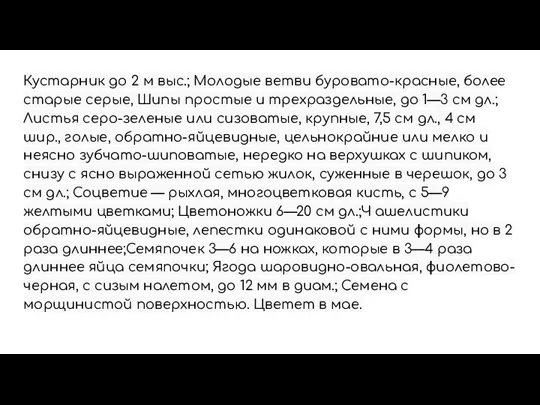 Кустарник до 2 м выс.; Молодые ветви буровато-красные, более старые