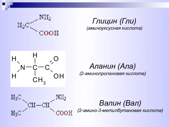 Аланин (Ала) (2-аминопропановая кислота) Глицин (Гли) (аминоуксусная кислота) Валин (Вал) (2-амино-3-метилбутановая кислота)