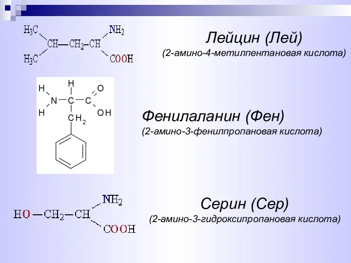 Серин (Сер) (2-амино-3-гидроксипропановая кислота) Лейцин (Лей) (2-амино-4-метилпентановая кислота) Фенилаланин (Фен) (2-амино-3-фенилпропановая кислота)