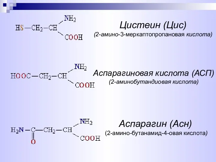 Аспарагиновая кислота (АСП) (2-аминобутандиовая кислота) Цистеин (Цис) (2-амино-3-меркаптопропановая кислота) Аспарагин (Асн) (2-амино-бутанамид-4-овая кислота)