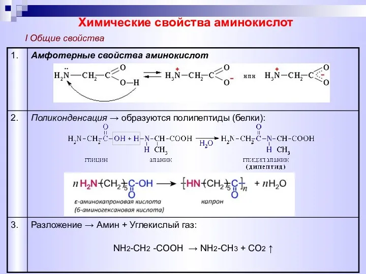 Химические свойства аминокислот I Общие свойства