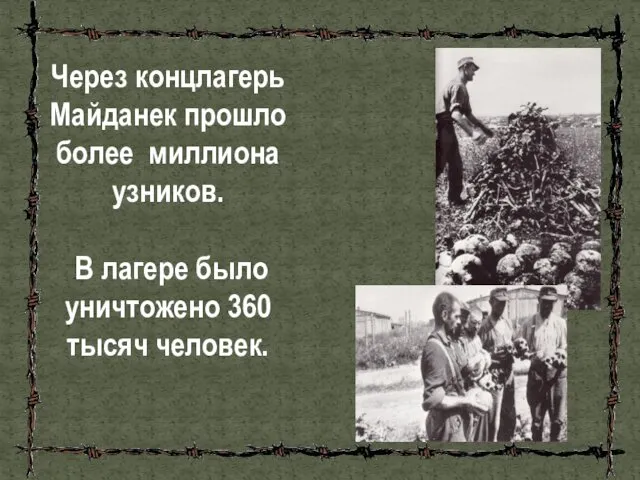 Через концлагерь Майданек прошло более миллиона узников. В лагере было уничтожено 360 тысяч человек.