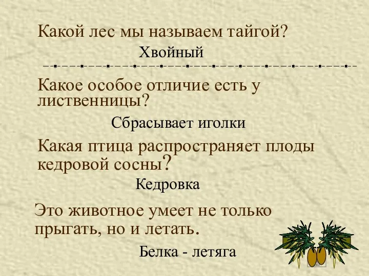 Какой лес мы называем тайгой? Хвойный Какое особое отличие есть у лиственницы? Сбрасывает