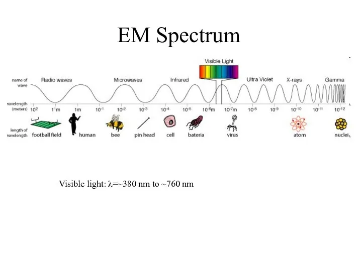EM Spectrum Visible light: λ=~380 nm to ~760 nm