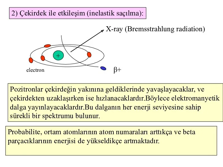 2) Çekirdek ile etkileşim (inelastik saçılma): β+ + X-ray (Bremsstrahlung