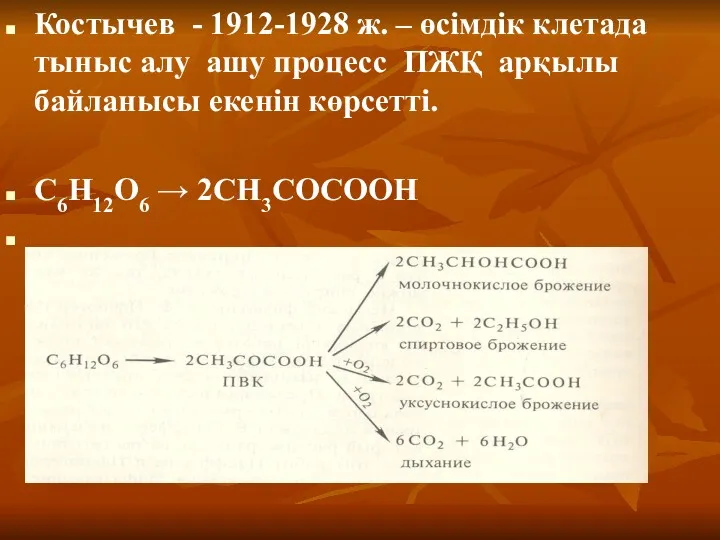 Костычев - 1912-1928 ж. – өсімдік клетада тыныс алу ашу процесс ПЖҚ арқылы