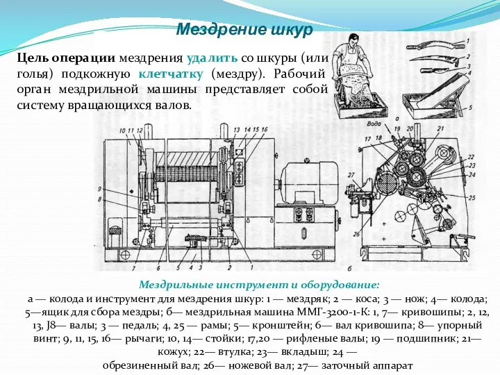 Мездрение шкур Мездрильные инструмент и оборудование: а — колода и