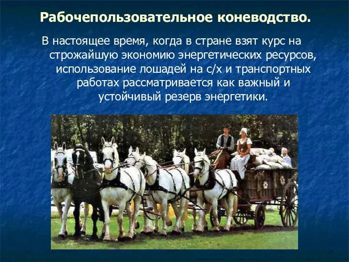 Рабочепользовательное коневодство. В настоящее время, когда в стране взят курс