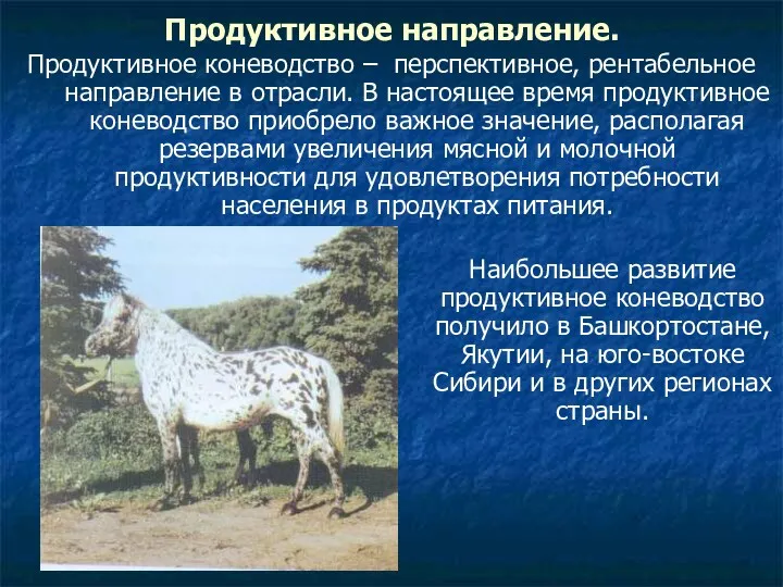 Продуктивное направление. Продуктивное коневодство – перспективное, рентабельное направление в отрасли.