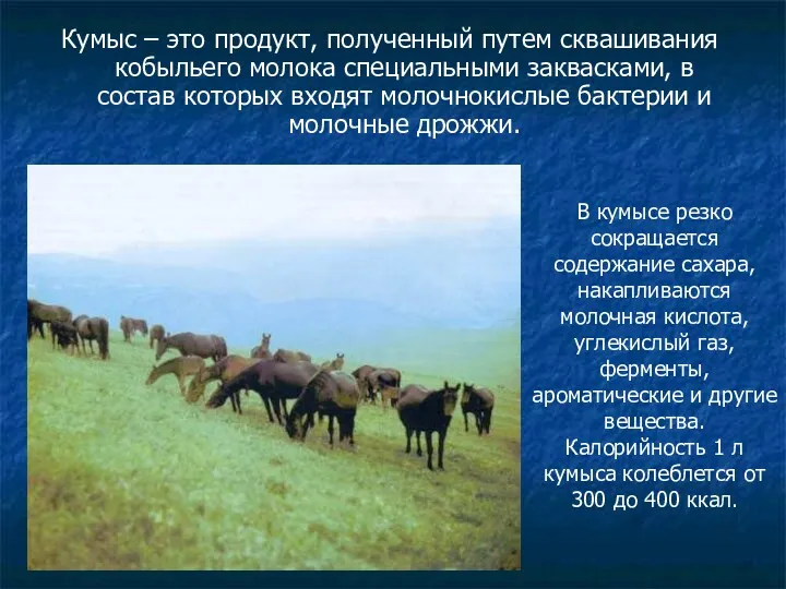 Кумыс – это продукт, полученный путем сквашивания кобыльего молока специальными