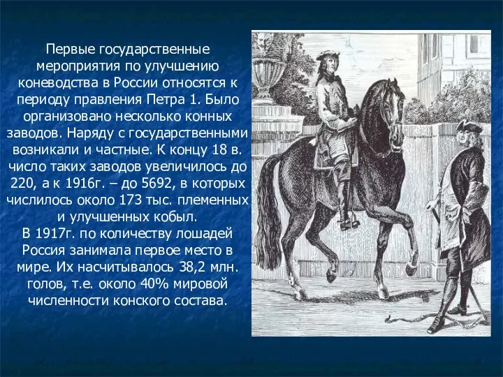 Первые государственные мероприятия по улучшению коневодства в России относятся к