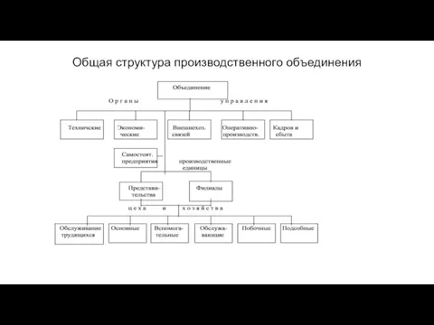 Общая структура производственного объединения