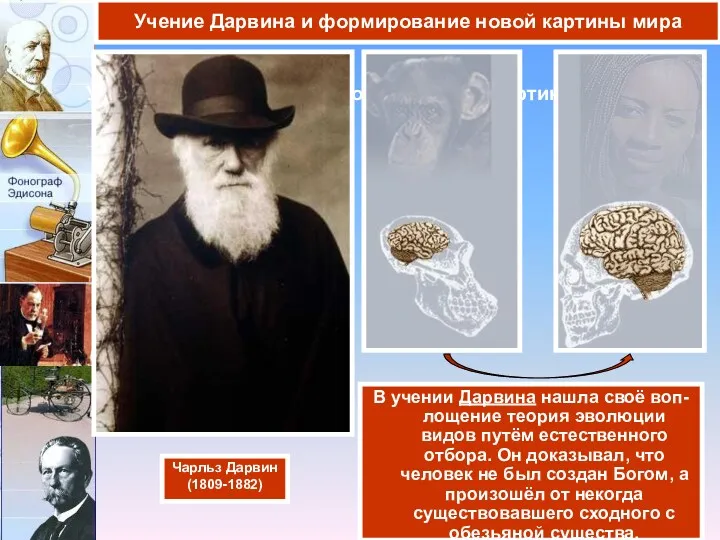 Учение Дарвина и формирование новой картины мира В учении Дарвина