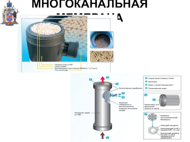 МНОГОКАНАЛЬНАЯ МЕМБРАНА