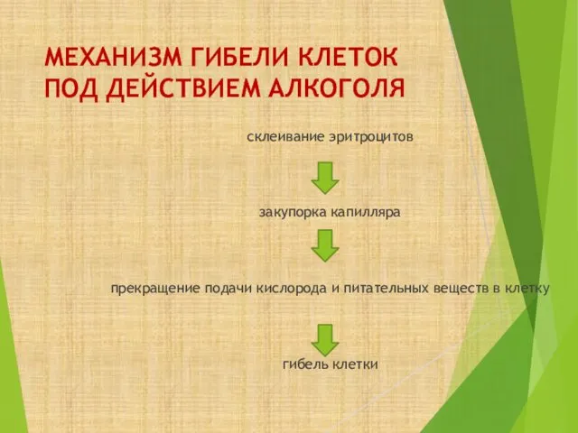 МЕХАНИЗМ ГИБЕЛИ КЛЕТОК ПОД ДЕЙСТВИЕМ АЛКОГОЛЯ склеивание эритроцитов закупорка капилляра